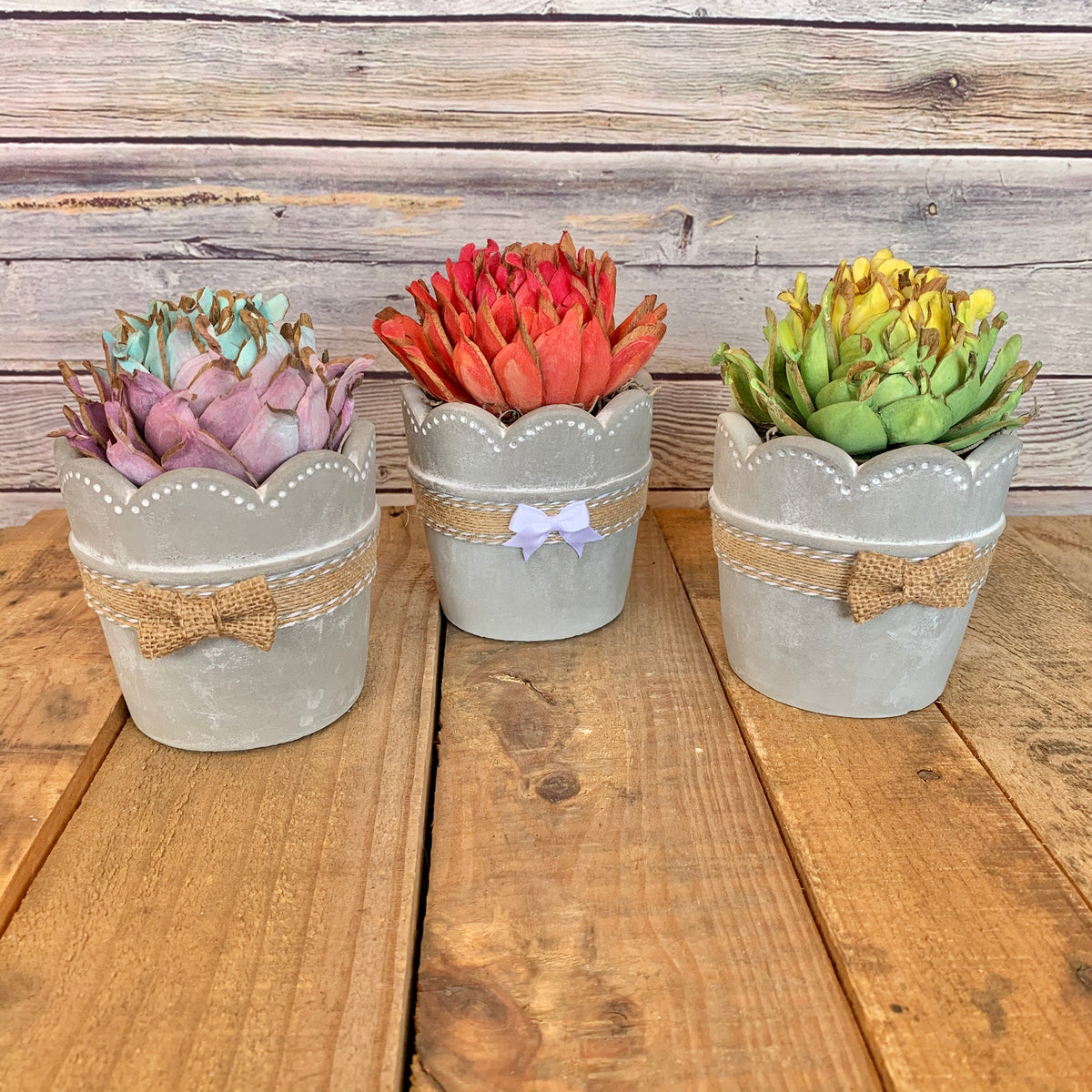 concrete succulent planters Concrete Succulent Planter
