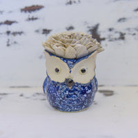 Medium Succulent Owl