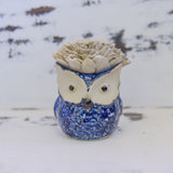 Medium Succulent Owl