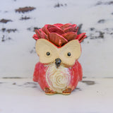 Medium Succulent Owl