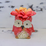 Medium Succulent Owl