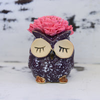 Medium Succulent Owl