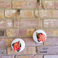 Round Succulent Hanger