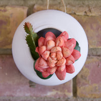 Round Succulent Hanger