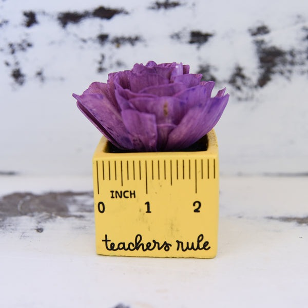 Small "Teachers Rule" Flowers & Succulents