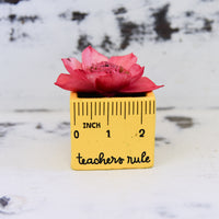Small "Teachers Rule" Flowers & Succulents