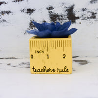 Small "Teachers Rule" Flowers & Succulents