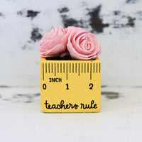Small "Teachers Rule" Flowers & Succulents