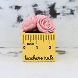 Small "Teachers Rule" Flowers & Succulents