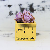 Small "Teachers Rule" Flowers & Succulents
