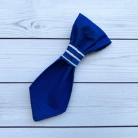 Small Pet Tie - Blue Stripes