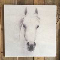 Animal Wood Print Kit - Multiple Animals Available