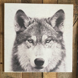 Animal Wood Print Kit - Multiple Animals Available