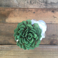 Succulent Sheep