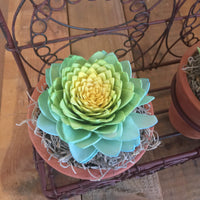 Succulent Wall Planter
