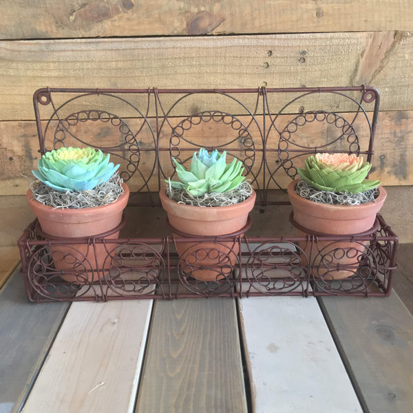 Succulent Wall Planter