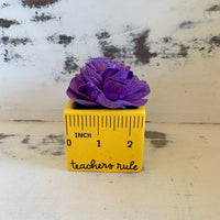 Small "Teachers Rule" Flowers & Succulents