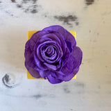 Small "Teachers Rule" Flowers & Succulents