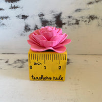 Small "Teachers Rule" Flowers & Succulents