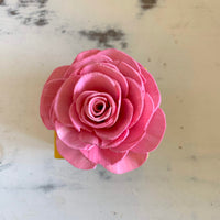 Small "Teachers Rule" Flowers & Succulents