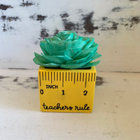 Small "Teachers Rule" Flowers & Succulents