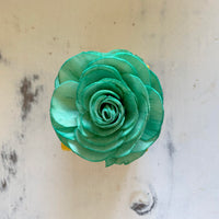 Small "Teachers Rule" Flowers & Succulents