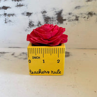 Small "Teachers Rule" Flowers & Succulents