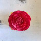 Small "Teachers Rule" Flowers & Succulents