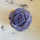 Small "Teachers Rule" Flowers & Succulents