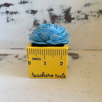 Small "Teachers Rule" Flowers & Succulents