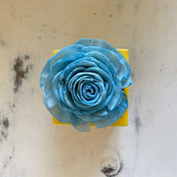 Small "Teachers Rule" Flowers & Succulents
