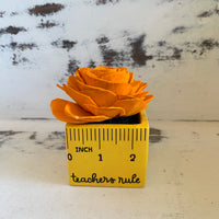 Small "Teachers Rule" Flowers & Succulents