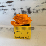 Small "Teachers Rule" Flowers & Succulents