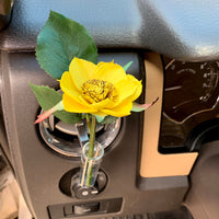 Auto Vase Vent Clip - Multiple Options Available