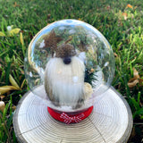 Round Winter Snow Globes