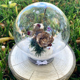 Round Winter Snow Globes