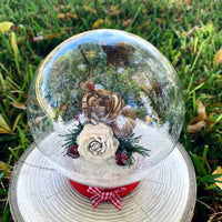 Round Winter Snow Globes