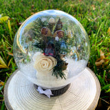 Round Winter Snow Globes