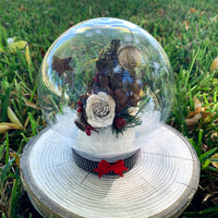 Round Winter Snow Globes