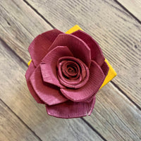 Small "Teachers Rule" Flowers & Succulents
