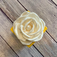 Small "Teachers Rule" Flowers & Succulents