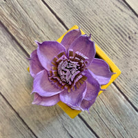 Small "Teachers Rule" Flowers & Succulents