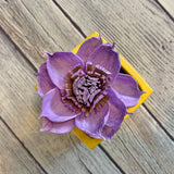 Small "Teachers Rule" Flowers & Succulents
