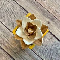 Small "Teachers Rule" Flowers & Succulents