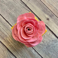 Small "Teachers Rule" Flowers & Succulents