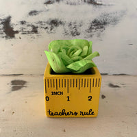 Small "Teachers Rule" Flowers & Succulents