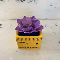 Small "Teachers Rule" Flowers & Succulents
