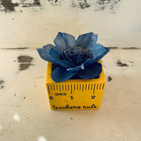 Small "Teachers Rule" Flowers & Succulents