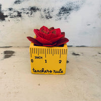 Small "Teachers Rule" Flowers & Succulents