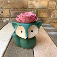 Medium Succulent Fox